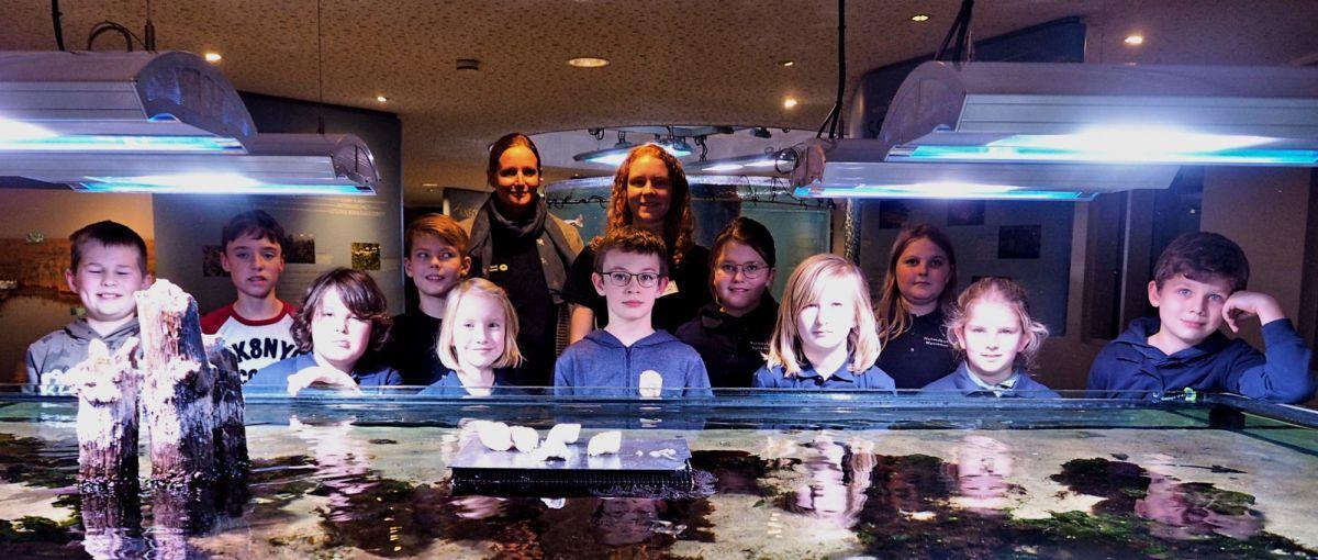 Einige sind schon „Junior Ranger“, andere werden es bald sein. Hier zeigen sich alle Teilnehmer vor dem großen Aquarium zusammen mit Eva Starke (hinten links), der Leiterin des Nationalparkhauses, und Johanna Görking, die ein Freiwilliges Ökologisches Jahr absolviert.