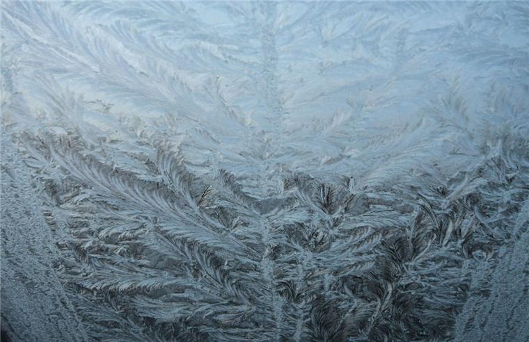 Eisblumen werden auch in den kommenden Tagen an Fenstern in Bremerhaven und dem Landkreis Cuxhaven zu beobachten sein, denn das eisige Winterwetter setzt sich in den kommenden Tagen fort.