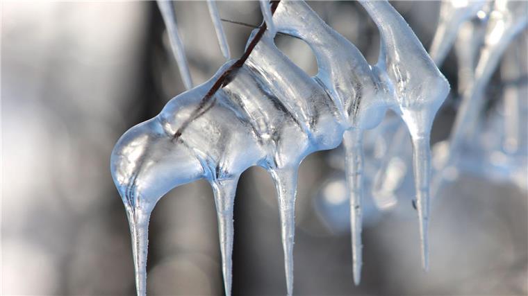 Naturschutzbehörde: Eisflächen in Schutzgebieten sind tabu  Eisgebilde zeigen sich an den Sträuchern am Ufe.