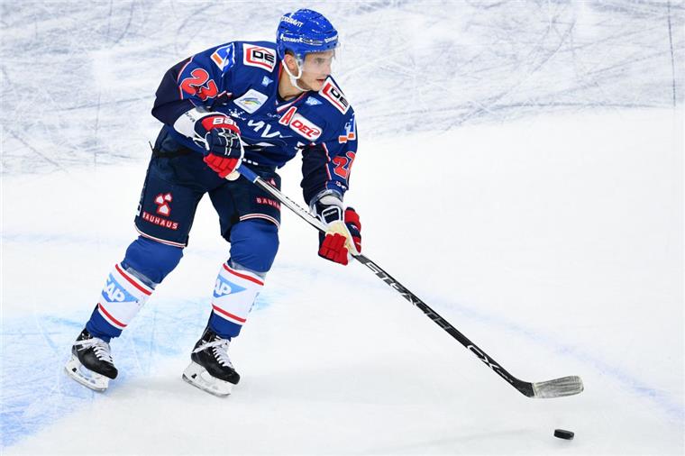 Marcel Goc