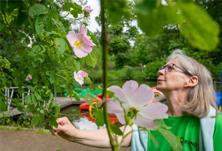 So blüht der Bürgerpark: Diese fünf Planzen sollte man kennen Elisabeth Quentin kennt sich im Bürgerpark sehr gut aus.