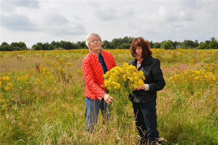 Giftpflanze breitet sich in Bad Bederkesa aus Elisabeth von Sooten und Ingrid Pigors haben das Jakobskreuzkraut im Handelspark Bad Bederkesa entdeckt.