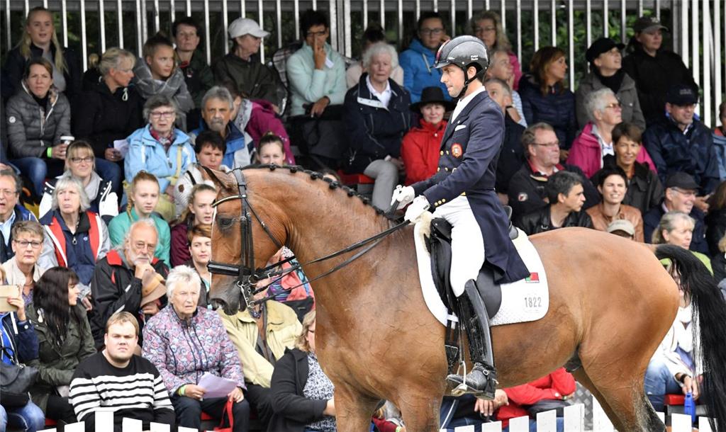 Elmloher Reitertage am Samstag: S-Dressur mit Pedro Almeida Palvao und D&apos;Artagnan 198. Foto: Scheschonka