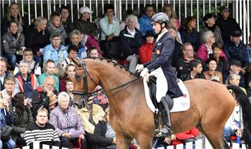 Elmloher Reitertage am Samstag: S-Dressur mit Pedro Almeida Palvao und D&apos;Artagnan 198. Foto: Scheschonka