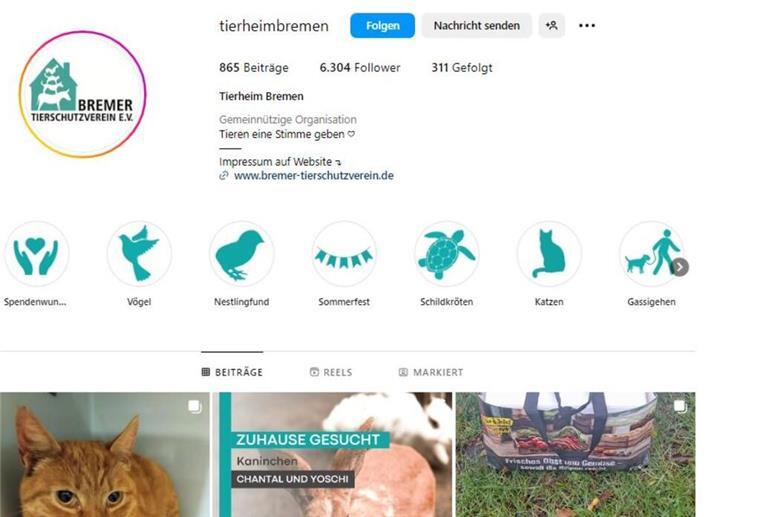 Endlich zuhause: Entlaufener Kater nach eineinhalb Jahren zurück Instagram
