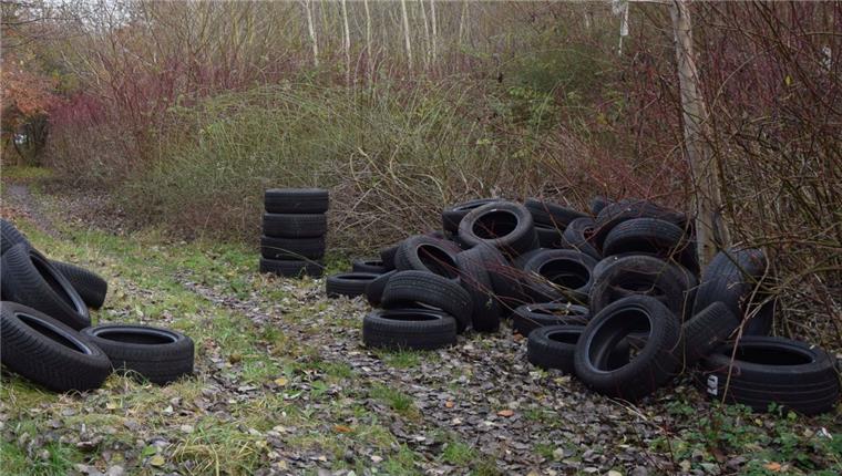 Entlang eines Trampelpfades zwischen Weißenstein und dem F.-W.-Sander-Weg haben Unbekannte in Grünhöfe mehr als 100 Autoreifen abgeladen. Ein paar Meter weiter lagert ein weiterer illegaler Reifenberg am Straßenrand.