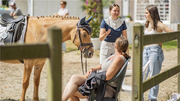 Die schönsten Bilder vom ersten Tag der Elmloher Reitertage Entspannung pur: Ein Turnier muss für ein Pferd kein Stress sein, wie man bei diesem Bild sieht. Der Vierbeiner döst gemütlich in der Sonne am Rande der Abreiteplätze.