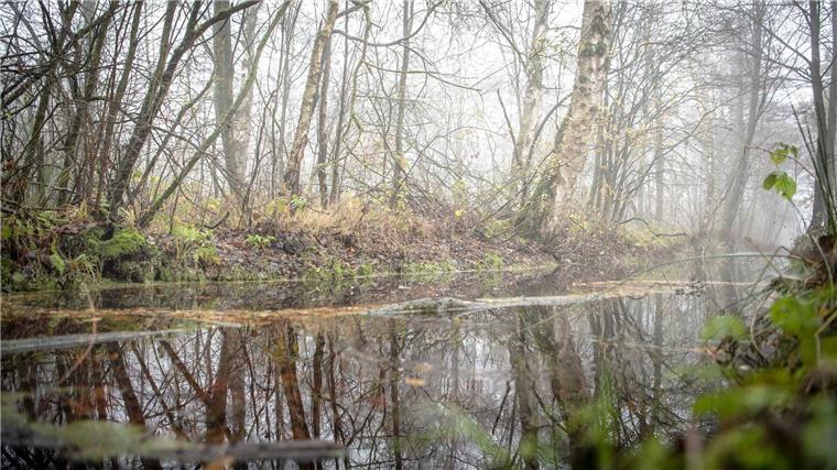 „Enorme Chance für Klimaschutz“ - BUND setzt auf nasse Moore Entwässerte Moore geben Treibhausgase in die Atmosphäre ab und beschleunigen so die Erderwärmung. (Archivbild)