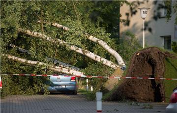 Entwurzelt: Ein umgestürzter Baum liegt auf einem Grundstück, das durch ein schw...