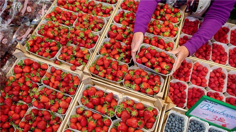 Weniger Erdbeeren in Niedersachsen geerntet Erdbeeren vom Wochenmarkt sind beliebt - diese Saison fiel die Ernte jedoch schlechter aus als in der letzten. (Archivfoto)