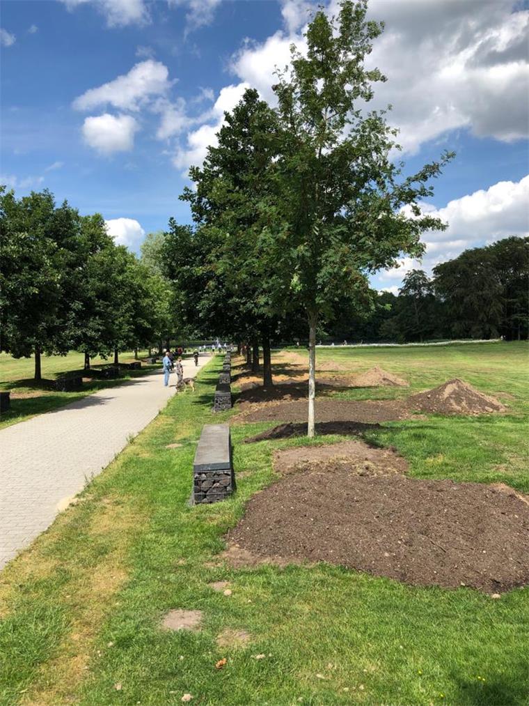 Bremerhaven: Das steckt hinter den Erdhügeln im Speckenbütteler Park Erdhügel säumen zurzeit die "Allee der heilenden Bäume" im Speckenbütteler Park.