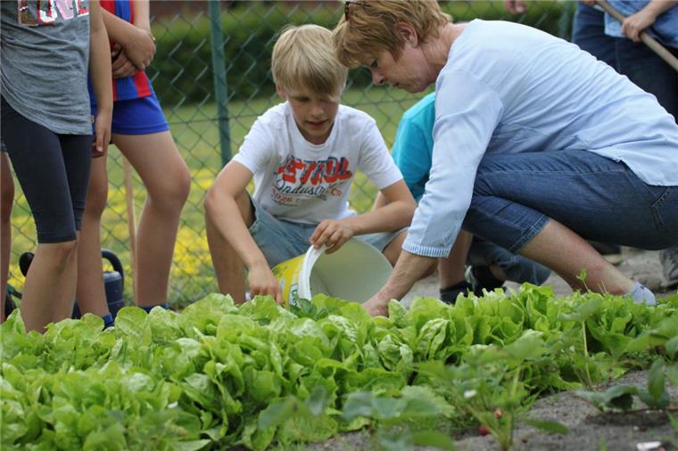 Heimatfreunde in Tarmstedt pflanzen mit Kindern Gemüse an Erika Bösch ist es wichtig, dass Heimatvereine nicht nur zurück, sondern auch nach vorn gucken. In Tarmstedt hat sie ein Pflanzprojekt mit Schülern initiiert.