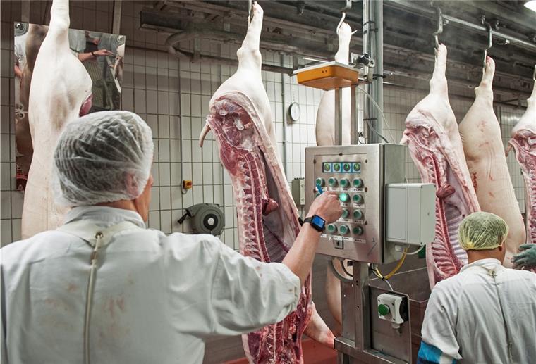 Erneut Corona-Fälle in Fleisch-Betrieb Erneut gibt es einen Corona-Ausbruch in einem fleischverarbeitenden Betrieb.
