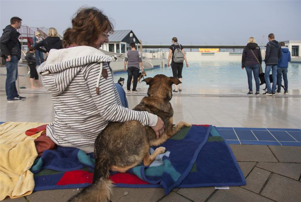 Erst mal gucken, was die anderen machen, denken sich diese beiden, die den Hund-...