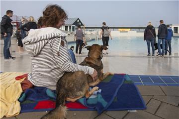 Erst mal gucken, was die anderen machen, denken sich diese beiden, die den Hund-...