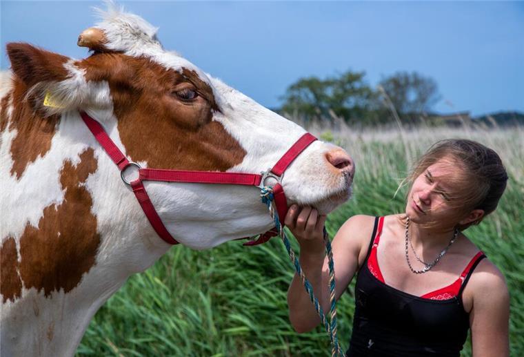 Nicht nur Tierarzt: Arbeitsagentur bietet Chat zu Berufen mit Tieren Auszubildende zur Tierwirtin mit einer Kuh
