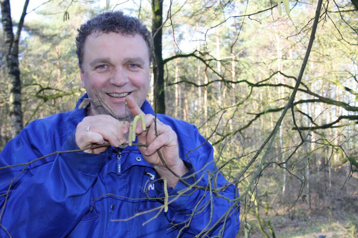 Bremerhaven: Heimische Wildsträucher spenden Insekten Nahrung Es gibt eine Unzahl verschiedener Insektenarten, die sich von den Blättern, Früchten oder dem Saft des Haselnusstrauchs – der Gemeinen Hasel – ernähren. Mit dem Zeigefinger deutet Sönke Hofmann vom Nabu auf eine weibliche Blüte. Die auffälligen Trotteln sind die männlichen Blüten.