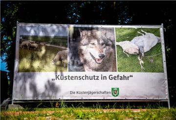  «Küstenschutz in Gefahr» steht auf einem Plakat, das einen Wolf und ein gerissenes Schaf zeigt. 