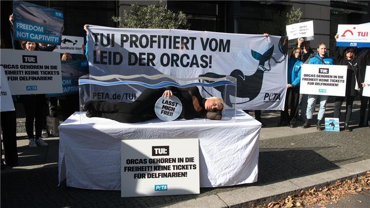 „Es gibt keine artgerechte Haltung für Tiere wie Orca-Wale in Gefangenschaft“, sagt Sarah Connor.
