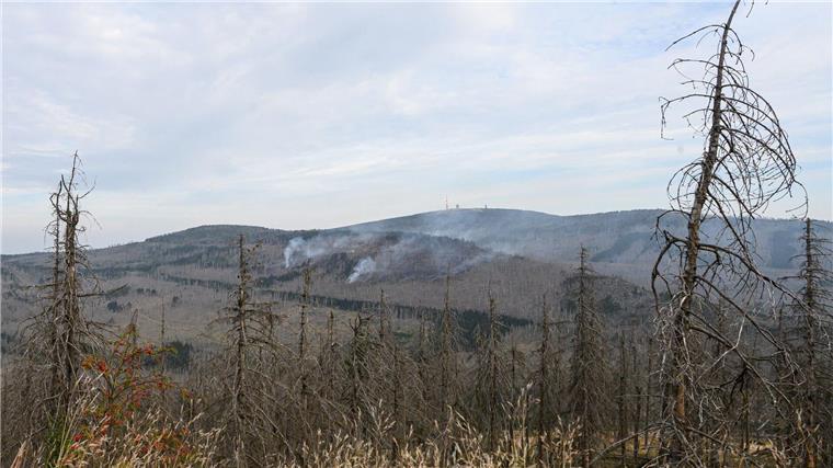 Feuerwehr bekämpft Glutnester am Brocken Es gibt noch mehrere Brandstellen am Brocken (Foto aktuell).
