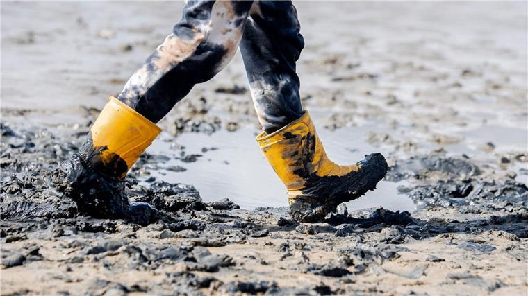 Es ist das Musikfestival am Wattenmeer: Zum „Watt en Schlick Festival“ in Dangast (Landkreis Friesland) werden täglich rund 6.500 Gäste erwartet.