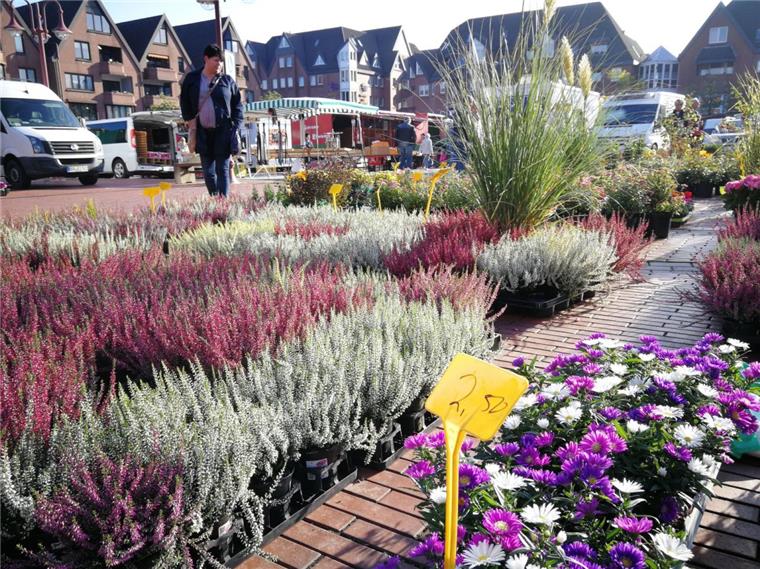 Nordenham: Wochenmarkt ab Freitag wieder auf dem Marktplatz Es sei „zu 100 Prozent sicher“, dass die Wochenmarkt-Stände ab Freitag wieder wie gewohnt auf dem Marktplatz stehen werden, sagt die Marktmeisterin.
