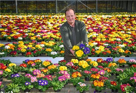 Es wird bald Frühling und wir besuchen Uwe Ablaß (hier im Primel-Meer), um uns Tipps und Tricks zur Gärtnerei abzuholen.