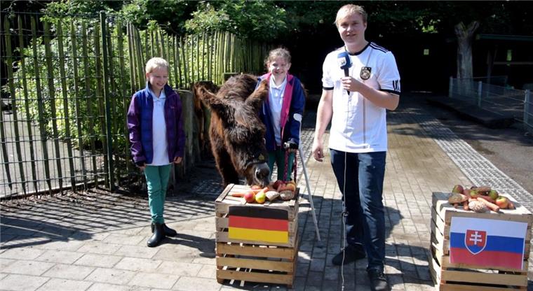 EM-Orakel Clyde tippt das deutsche Achtelfinale Esel-Orakel Clyde ist sich sicher: Deutschland wird das Achtelfinale gegen die Slowakei gewinnen.