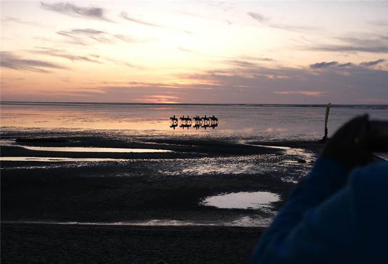 Romantisches Wattenmeer Watt