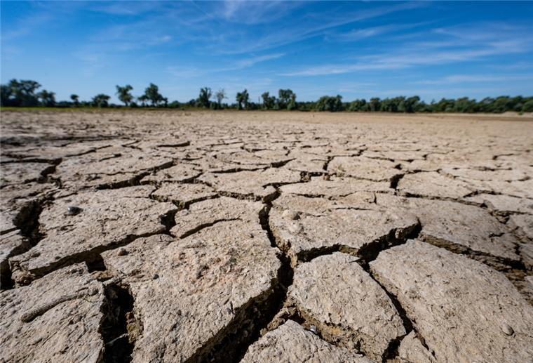 Projekt: UN-Klimakonferenz in Cuxland-Schulen Trockener, rissiger Boden an der Donau