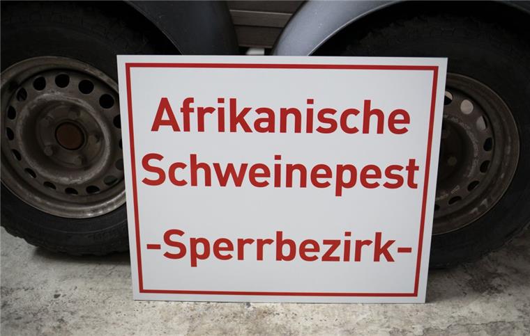 Fälle von Schweinepest in Ungarn machen den Landwirten in Niedersachsen Sorgen.