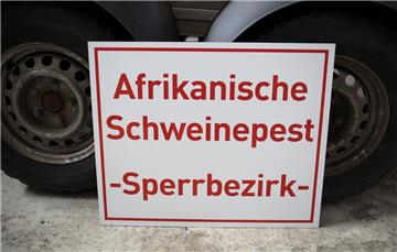 Fälle von Schweinepest in Ungarn machen den Landwirten in Niedersachsen Sorgen.
