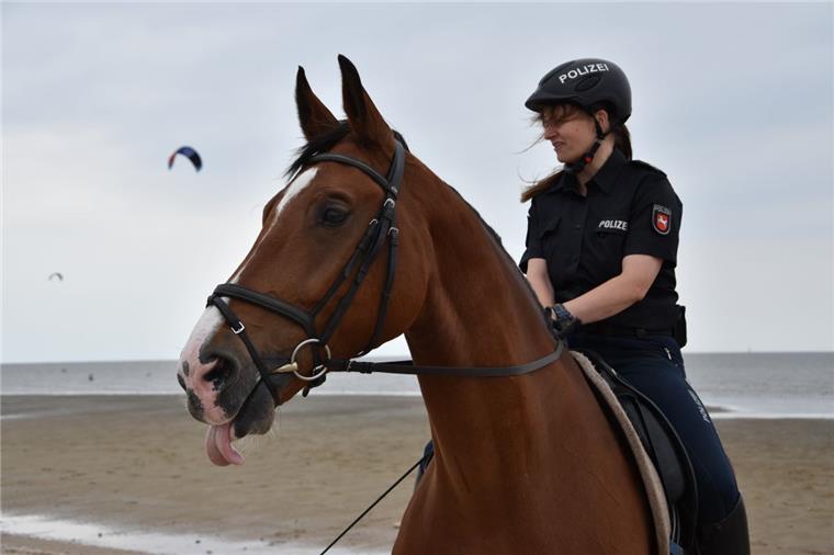 Cuxhaven: Polizeipferde kommen am Strand zum Einsatz Falk und seine Reiterin Andrea Neumann dürfen diesen Sommer dort arbeiten wo andere Urlaub machen.