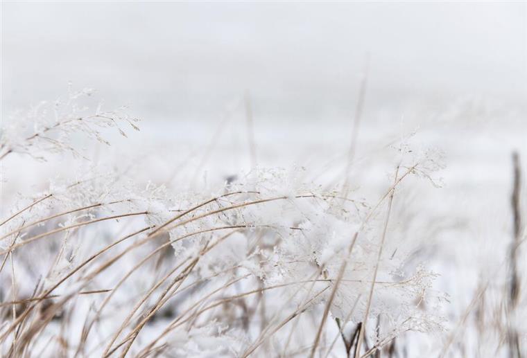 Fällt der erste Schnee? Es wird kalt im Norden Fallen in unserer Region am Dienstagabend der erste Schnee?