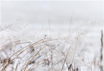 Fallen in unserer Region am Dienstagabend der erste Schnee?