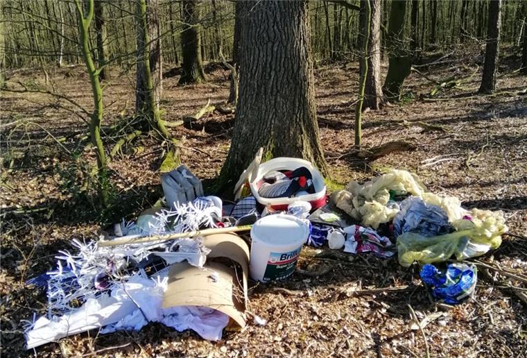 Ober Ochtenhausen: Müll am Waldrand illegal entsorgt Farbeimer und mehr: Am Waldrand bei Ober Ochtenhausen haben Umweltsünder rund einen Kubikmeter Müll entsorgt.