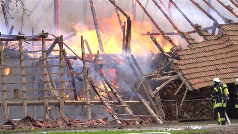 Verheerendes Feuer im Stall: Fast 700 Schweine verenden Fast 700 Schweine (Symbolfoto) sind bei einem Brand in Harpstedt (Kreis Oldenburg) ums Leben gekommen.