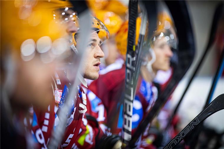 Pinguins gewinnen dank Gläsers Debüttreffern Fedor Kolopajlo stand im Spiel der Fischtown Pinguins gegen Schwenningen besonders im Blickpunkt: er durfte in der ersten Reihe stürmen.