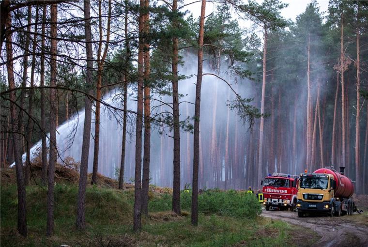 Evakuierungen wegen Waldbrand in Mecklenburg-Vorpommern Feuerwehrleute löschen in der Nähe der evakuierten Ortschaft Alt Jabel einen großflächigen Waldbrand. Wegen des Brandes auf dem ehemaligen Truppenübungsplatz bei Lübtheen in Mecklenburg-Vorpommern mussten Hunderte Menschen ihre Wohnungen verlassen.