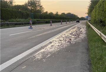 Fischabfälle auf der A27: Die Autobahn musste gesperrt und aufwendig gereinigt werden.