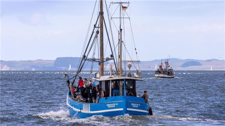Institut für vorsichtige Fangmengen bei bedrohten Beständen Fischbestände erholen sich nicht in dem Maße wie erwartet. (Symbolbild)