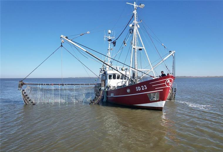 Fischkutter läuft auf Grund – Seenotretter greifen ein Fischer aus Seenot befreit.