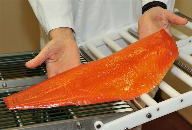 Lachs