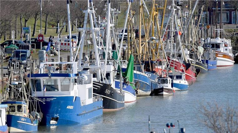 Krabbenfischerei hat nur geringe Auswirkung auf Meeresboden Fischkutter liegen aneinandergereiht im Hafen.