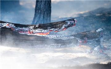 Flächenbrande und Stürme: Die Herausforderungen für die Feuerwehren wachsen