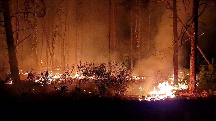 Sieben Brände in elf Tagen: Polizei ermittelt Flammen schlagen in die Höhe und Rauch steigt auf bei Nacht in einem Waldstück.
