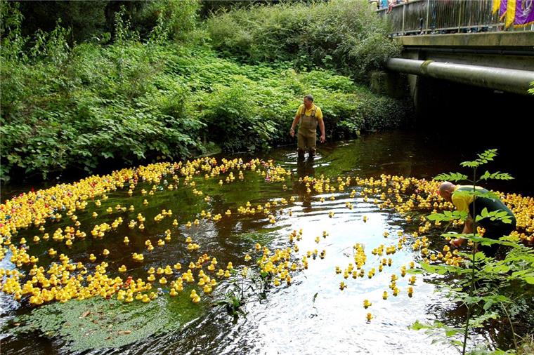 2000 Enten schwimmen in Zeven um die Wette Florian Schulz (links) und Jochen Johannsen begleiten die quietschgelbe Schar am Start unter der Brücke in Zeven. Das Entenrennen wurde vom Lions-Club organisiert.
