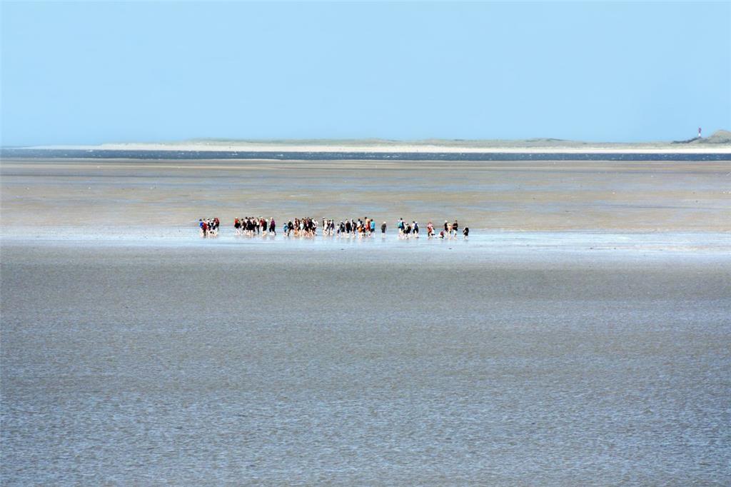 Föhr liegt östlich von Amrum, näher an der Küste und ist die zweitgrößte nordfriesische Insel. Der Fährhafen ist in Wyk im Inselosten, wo viele Urlauber gleich bleiben. Föhr hat aber noch etliche Inseldörfer. Für Strandurlauber sind nach Angaben von Föhr Tourismus neben Wyk vor allem Goting, Hedehusum, Utersum und Nieblum geeignet. Alkersum bietet sich besonders für Reiterurlaub an. Im Sommer ist Föhr vor allem bei Familien beliebt, 80 Prozent der Gäste wählen Ferienhäuser oder -wohnungen. Eine Besonderheit ist das breite Angebot für Urlaub auf dem Bauernhof. Und laut Föhr Tourismus ebenfalls besonders: die Wattwanderungen zur Nachbarinsel Amrum.