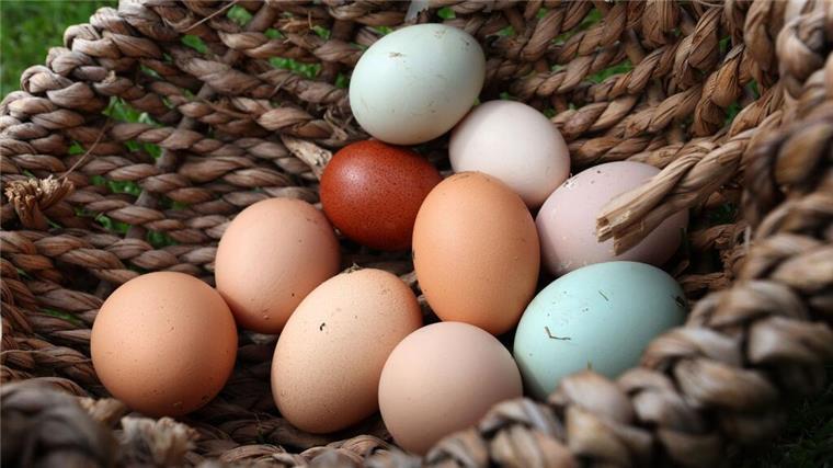 Physiker revolutionieren das Eierkochen: So gelingt das perfekte Ei Forscher entdecken neue Methode für perfekt cremige Eier. Könnte diese Technik die Kochwelt revolutionieren?