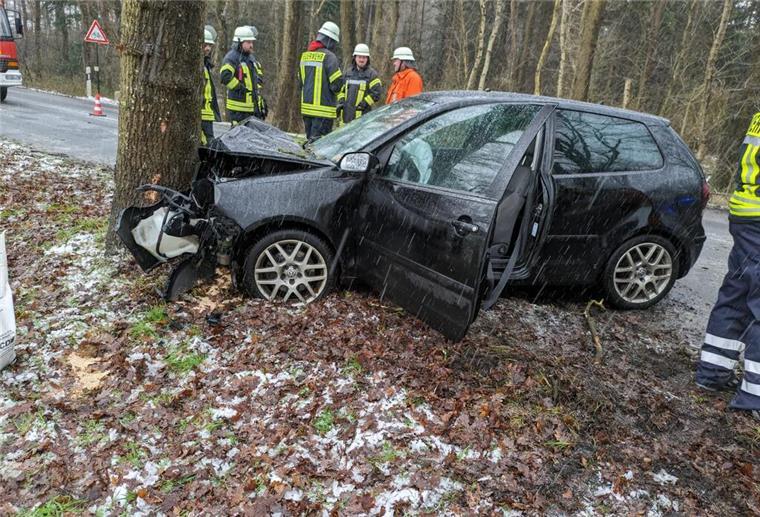 Foto des Volkswagens, der gegen einen massiven Baum gekracht ist.